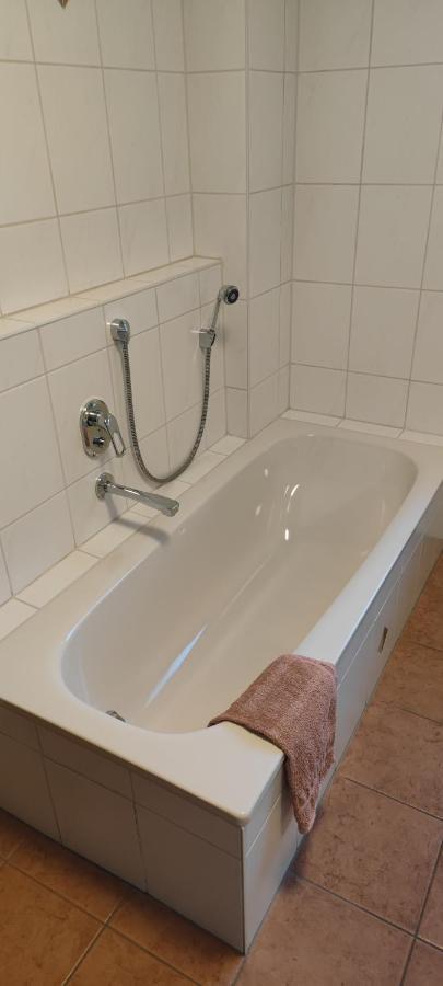 Ferienwohnung Zwischen Rhein Und Schwarzwald Bischweier Εξωτερικό φωτογραφία