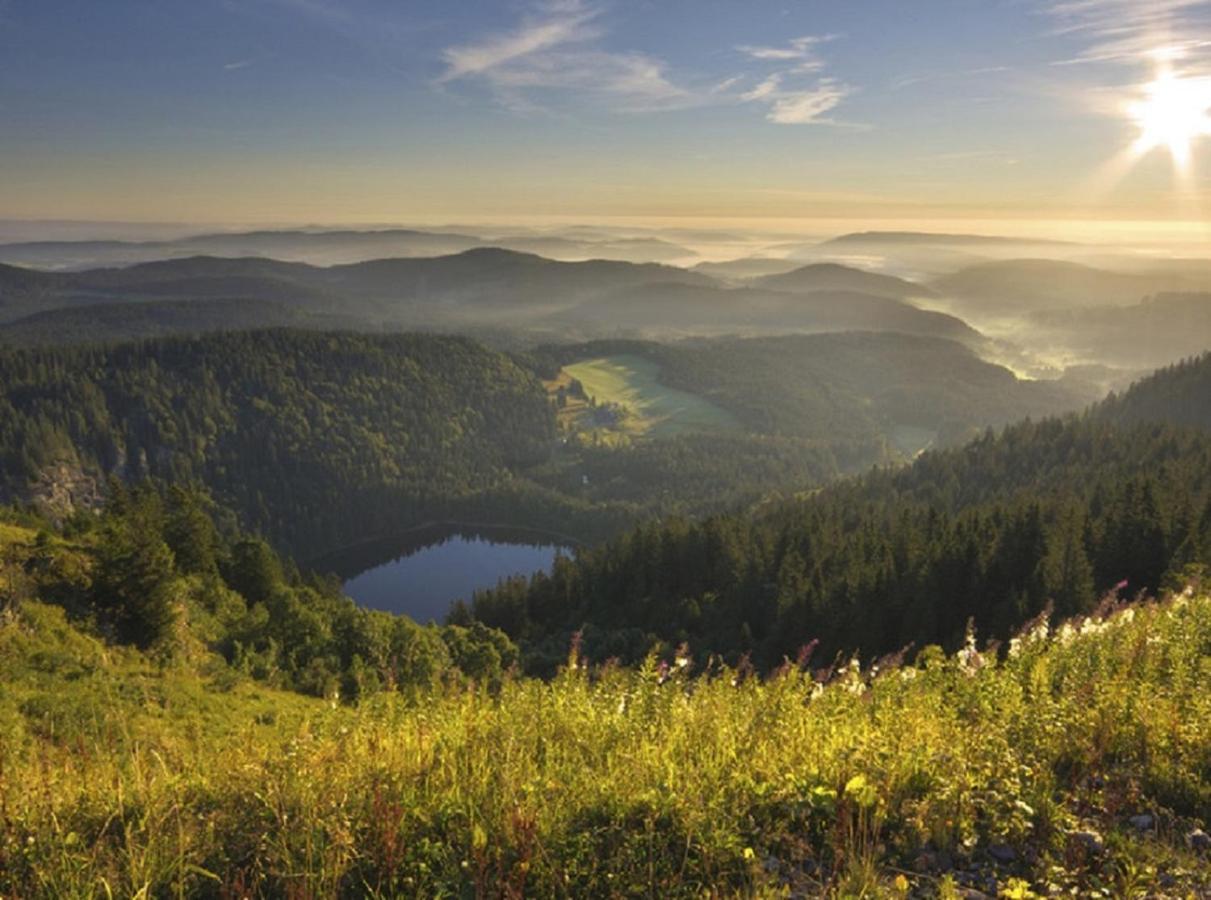 Ferienwohnung Zwischen Rhein Und Schwarzwald Bischweier Εξωτερικό φωτογραφία